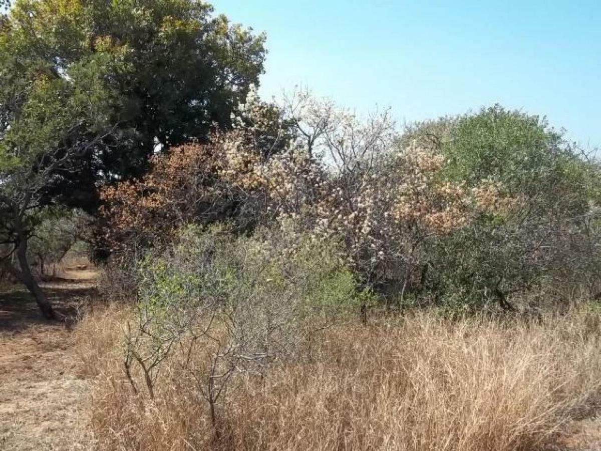 Aloes Bush Stay Hoedspruit Ngoại thất bức ảnh