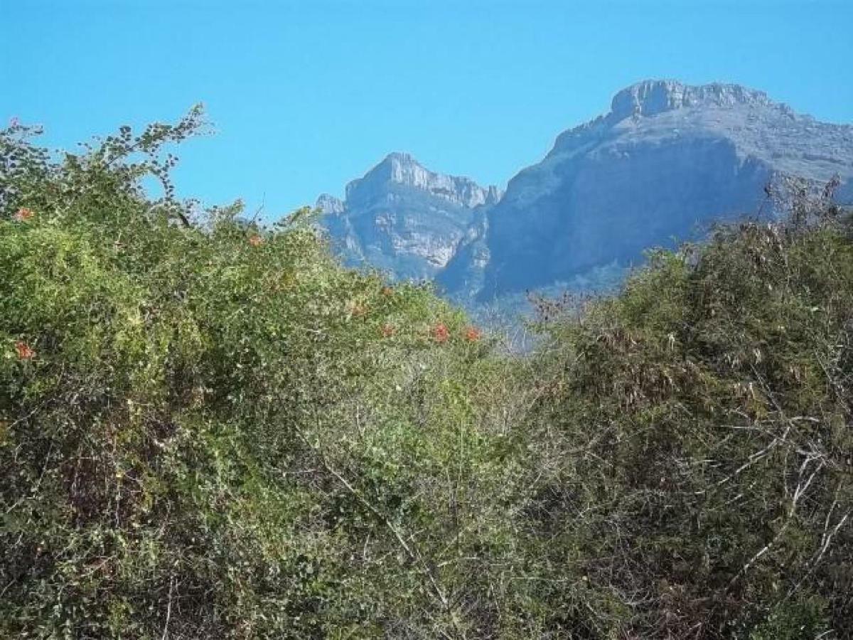 Aloes Bush Stay Hoedspruit Ngoại thất bức ảnh