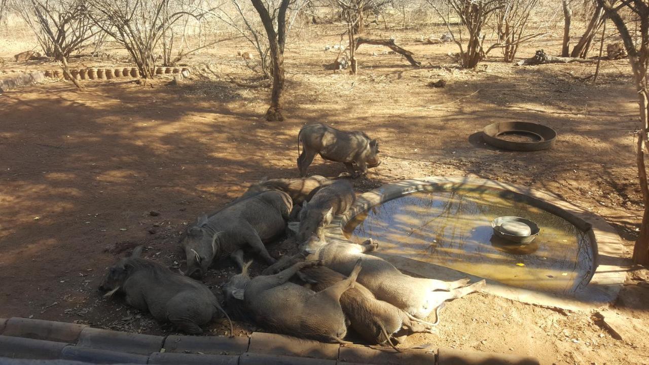 Aloes Bush Stay Hoedspruit Ngoại thất bức ảnh